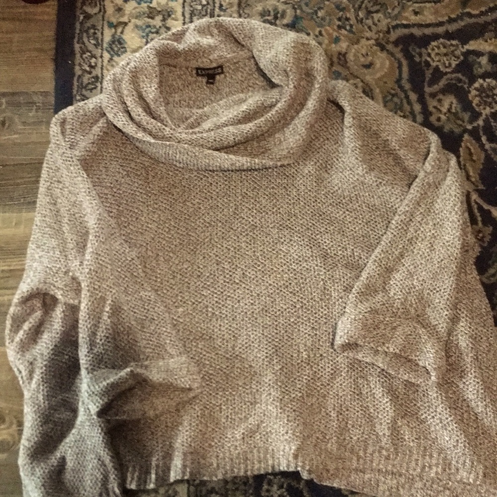 Express oversized sweater